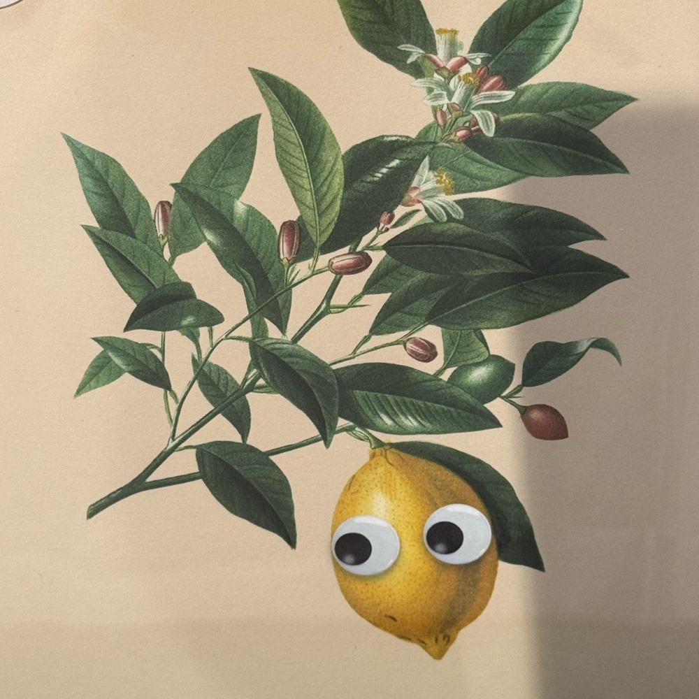 Meet your Posher, R.